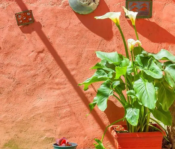 Victoria Old Town 빌라